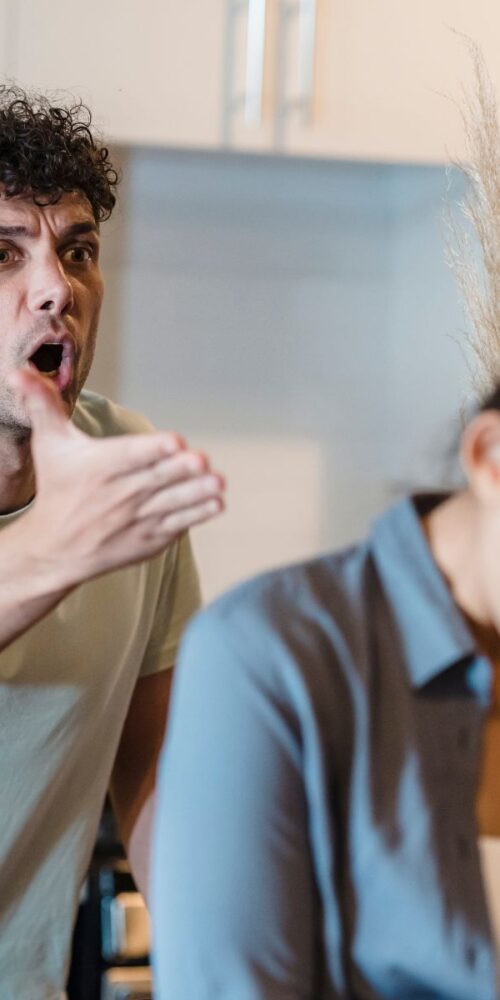 Par som bråkar, våld i nära relation